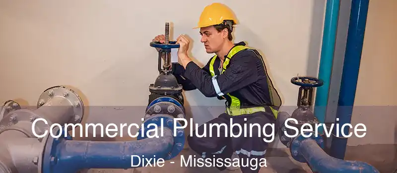Commercial Plumbing Service Dixie - Mississauga